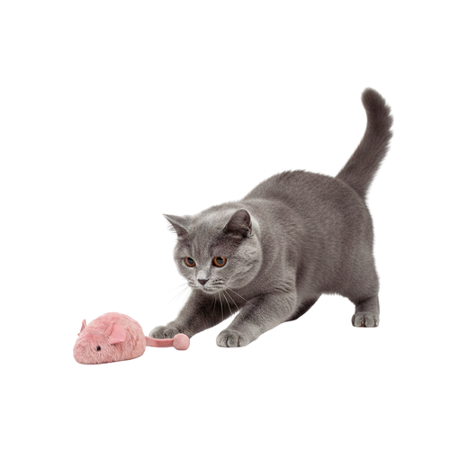 Interactive Mouse Plush for Cats